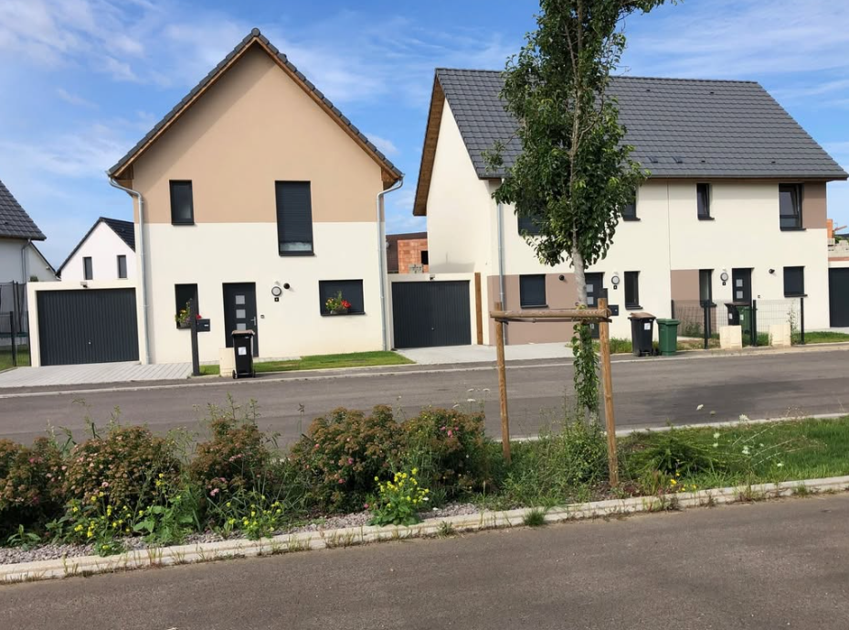 11-Nov-26-2025-06-36-57-8669-AM